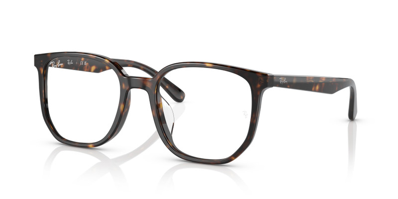 RB5411 OPTICS - 1