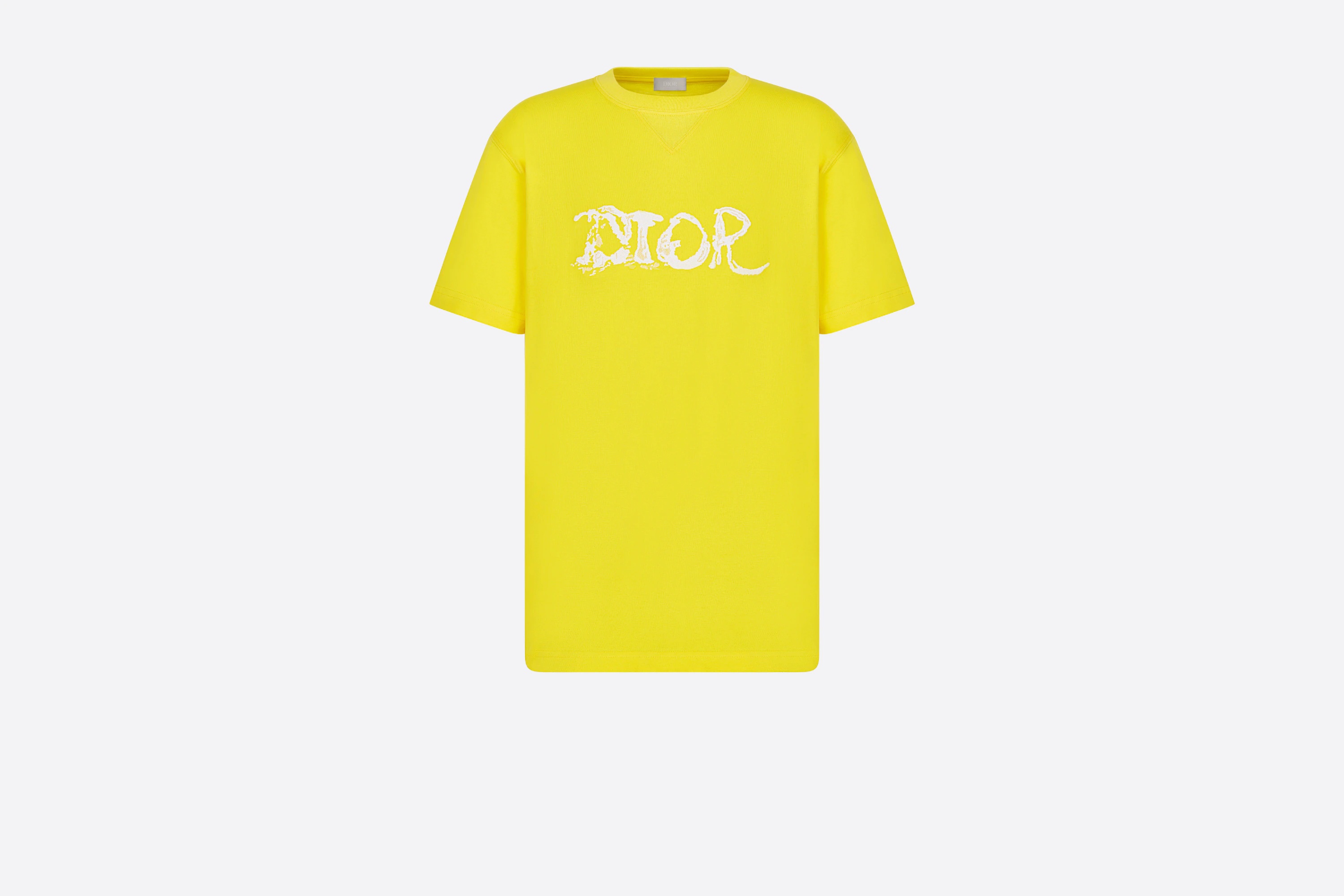 Oversized DIOR AND PETER DOIG T-Shirt - 1