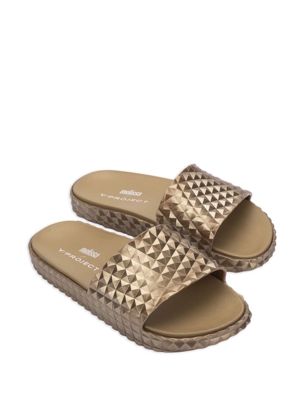 x Melissa Court slides - 2