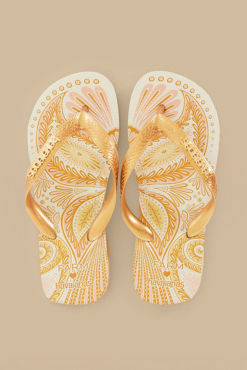 Papillon Havaianas 1