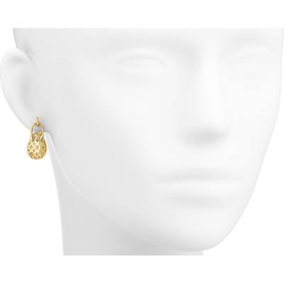 Louis Vuitton Minigram Mismatched Earrings outlook