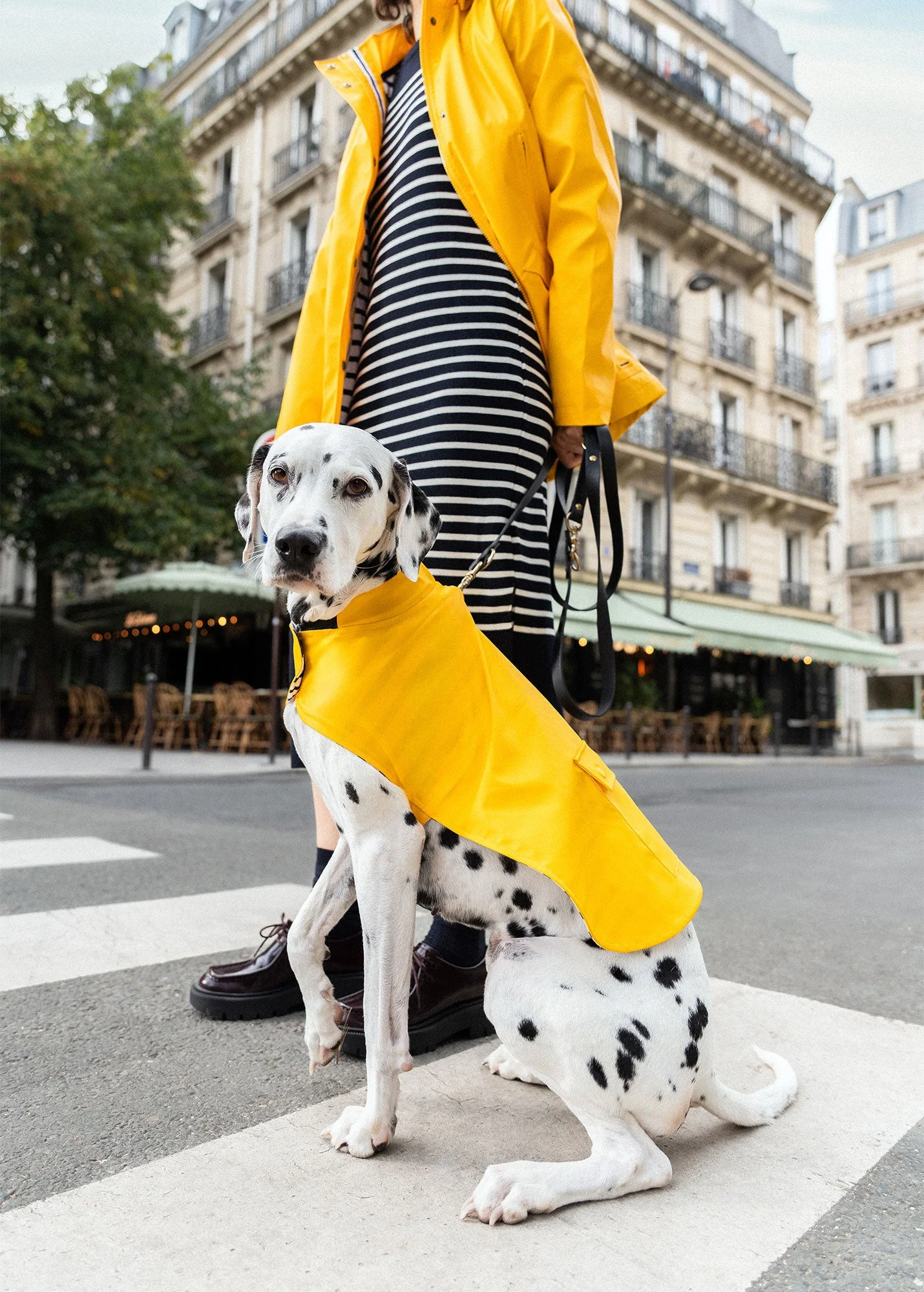 PARISIAN PUP Raincoat - 1