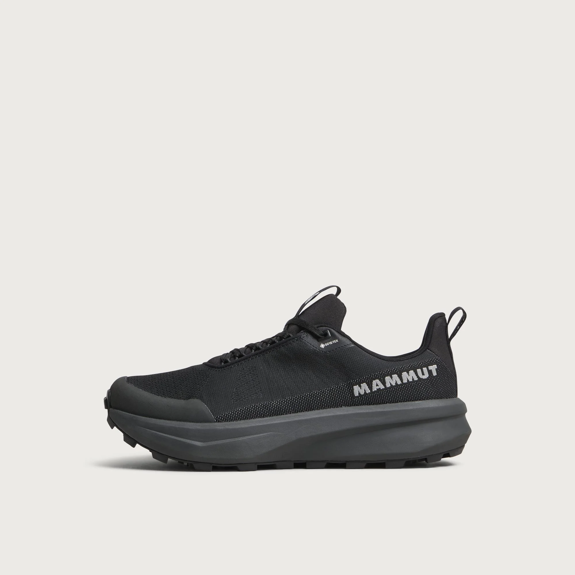 Mammut Aenergy MTN Gore-Tex Low - 1