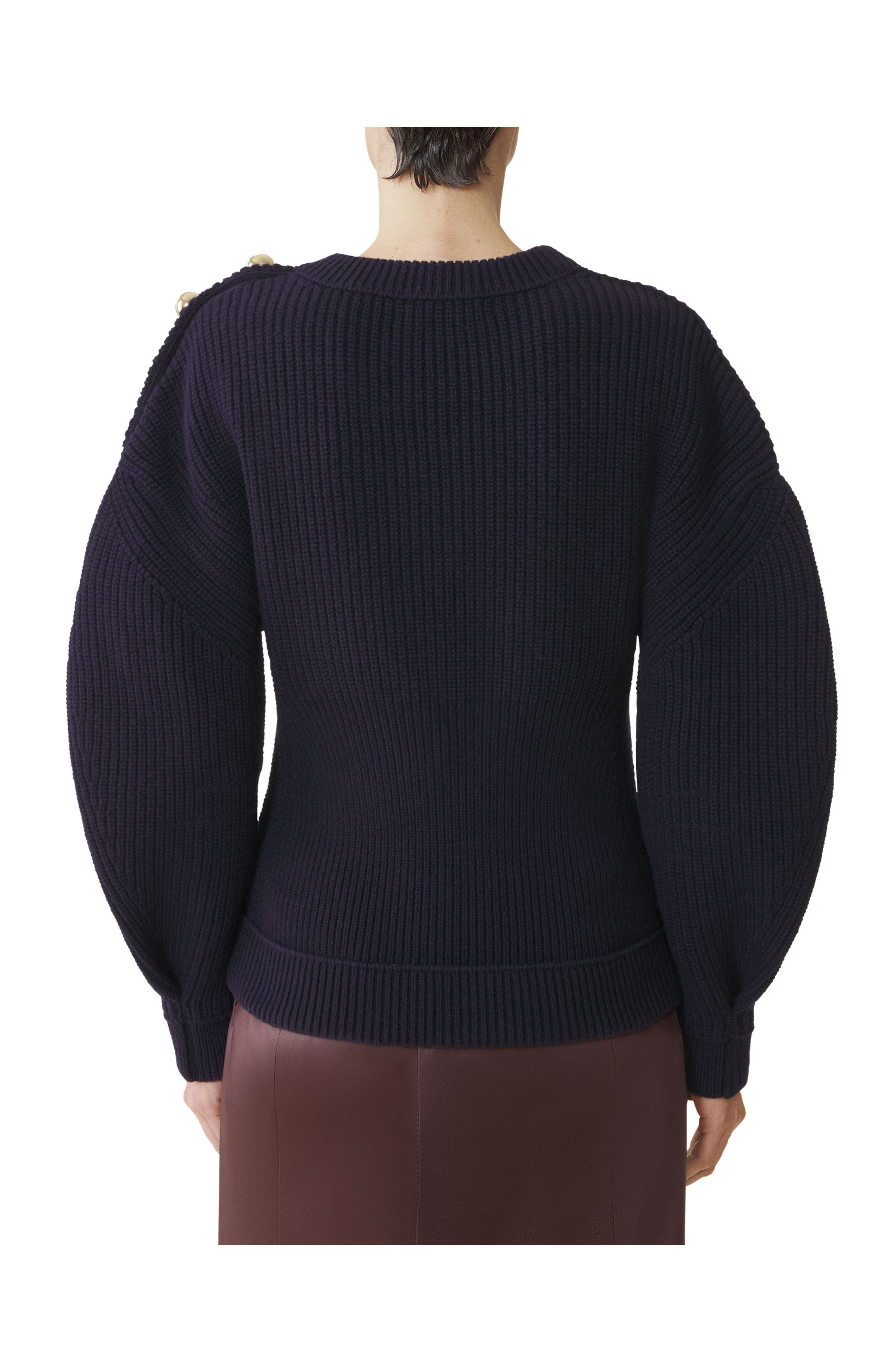 Lanvin Wool Ribbed Sweater in Montana at Nordstrom - 4