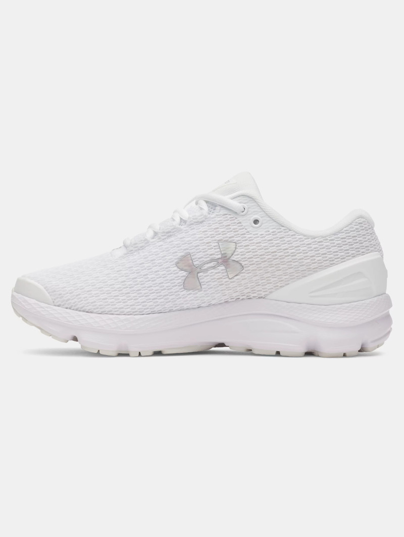 Under Armour UA Charged Gemini outlook