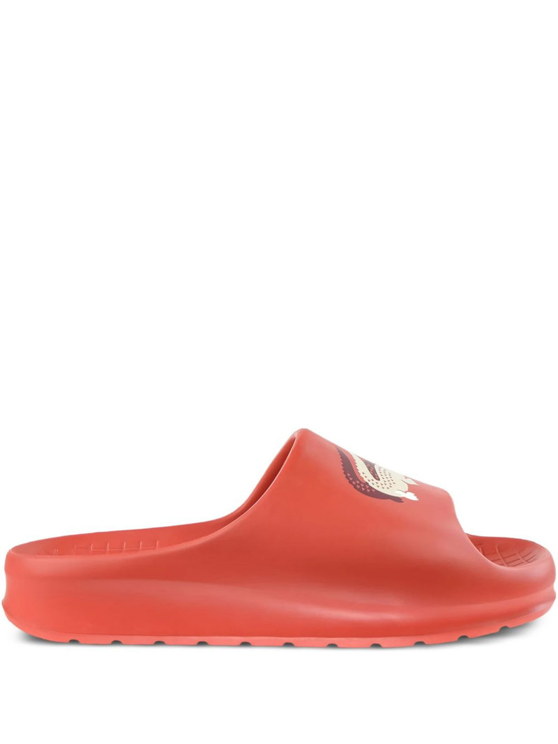 Serve 2.0 slides 1