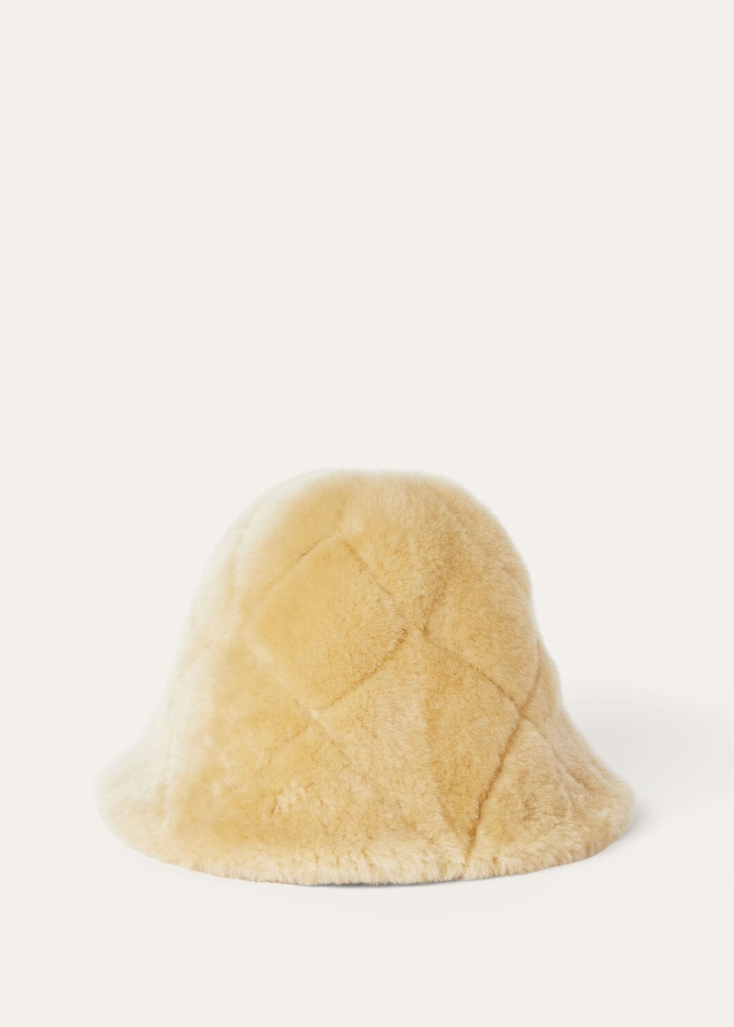 Cloche Hat - 1