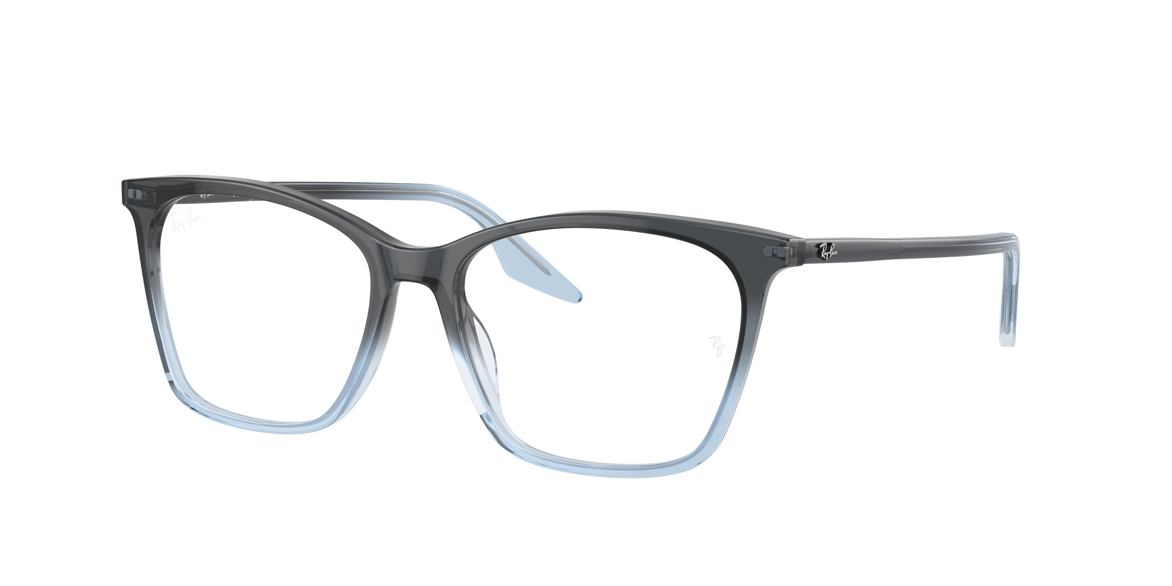 RB5422 OPTICS - 3