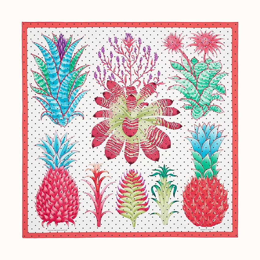 Index Bromeliaceae scarf 90 - 1