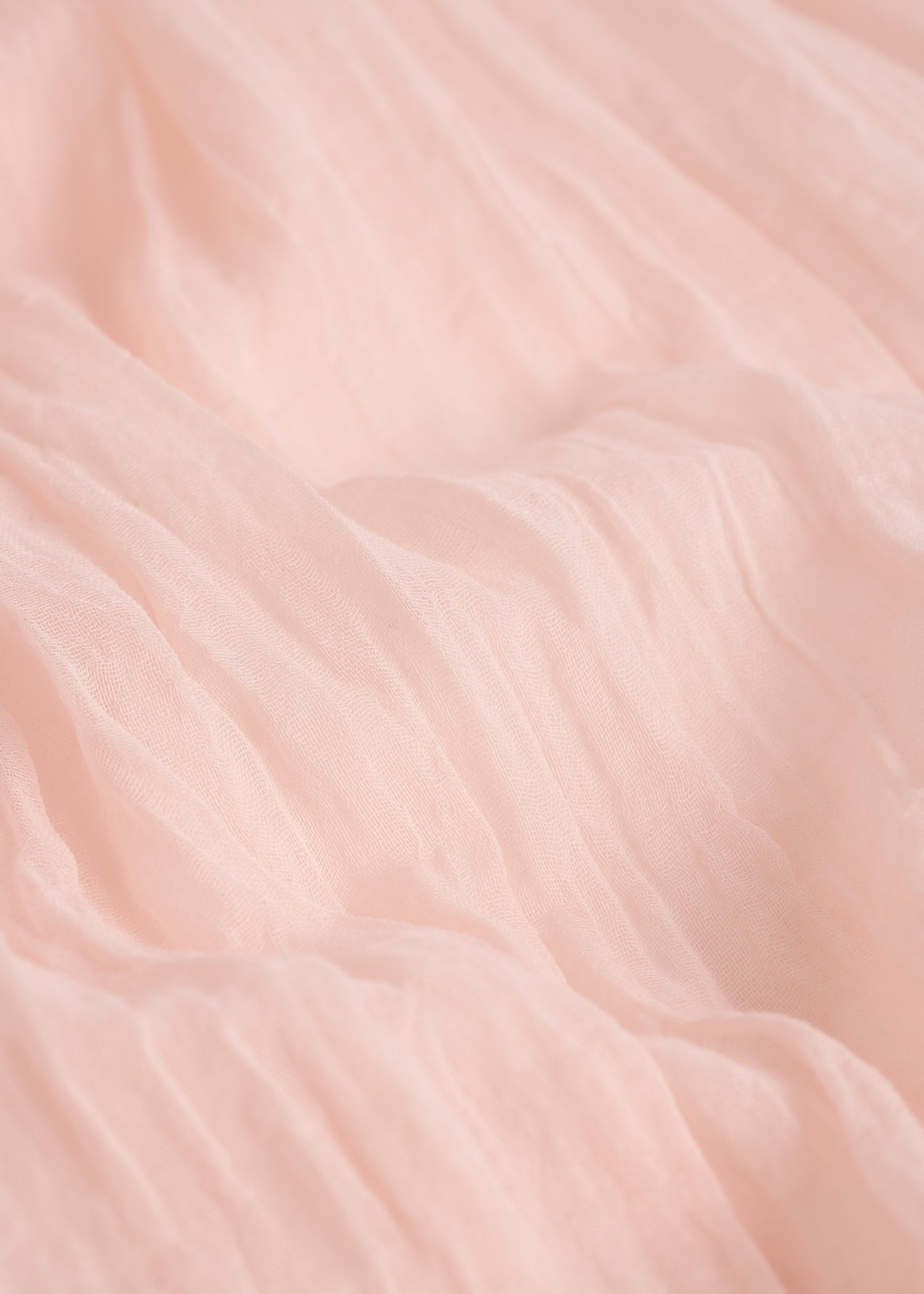 Crinkled scarf blossom - 5