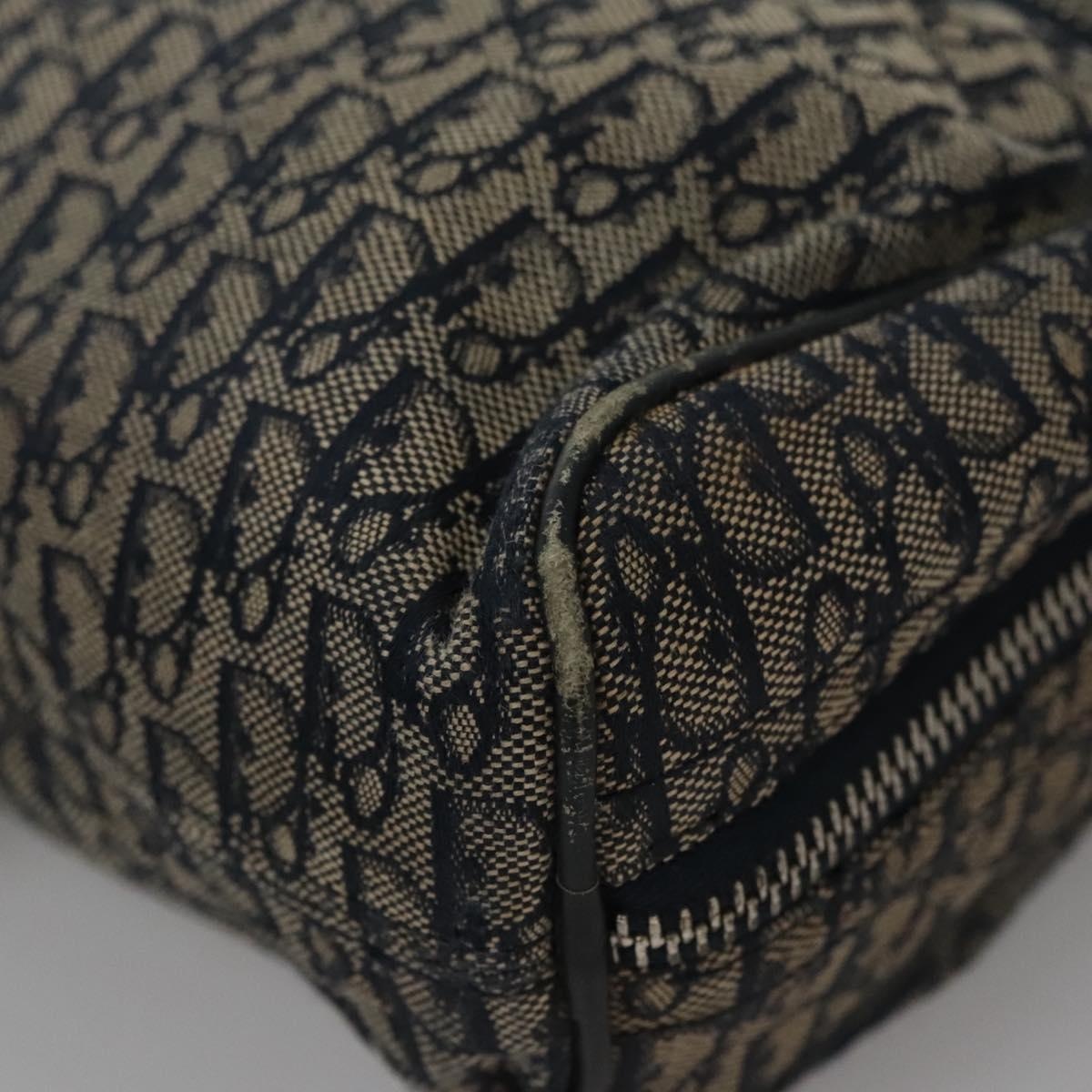 DIOR Trotter Canvas Hand Bag Navy - 11