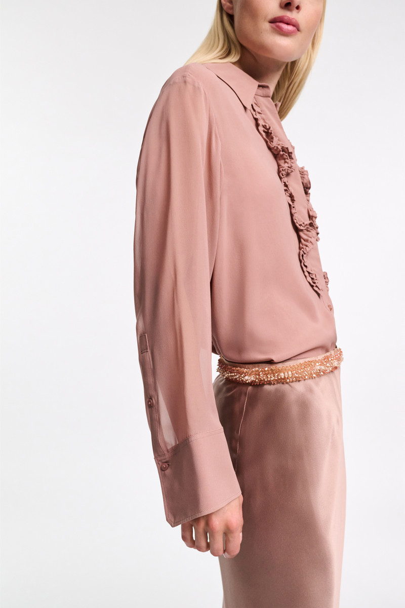 SHEER DREAMS blouse 6