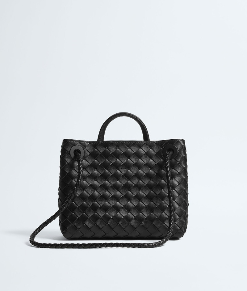 Bottega Veneta Small Andiamo outlook