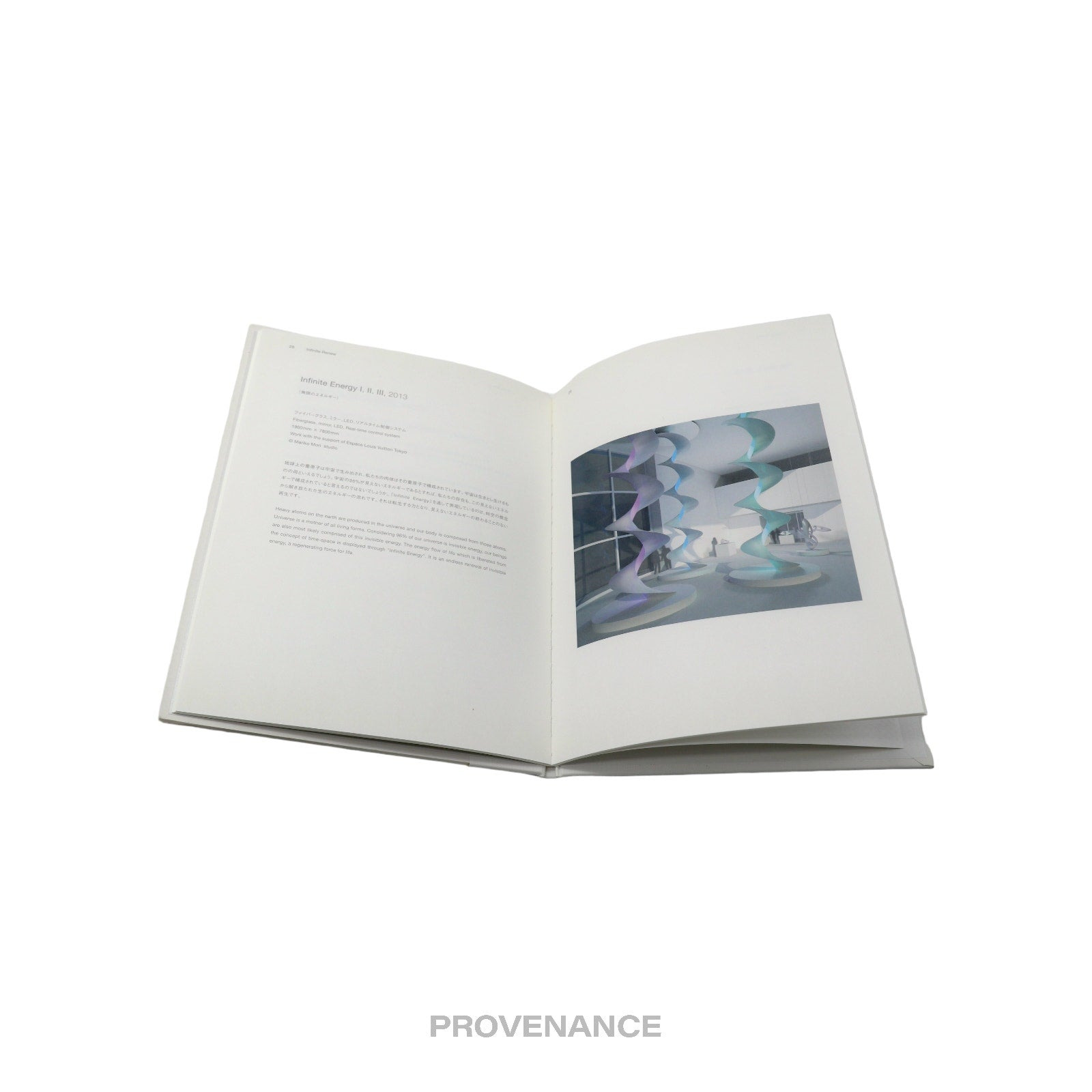 Louis Vuitton INFINITE RENEW Espace Art Book - 5