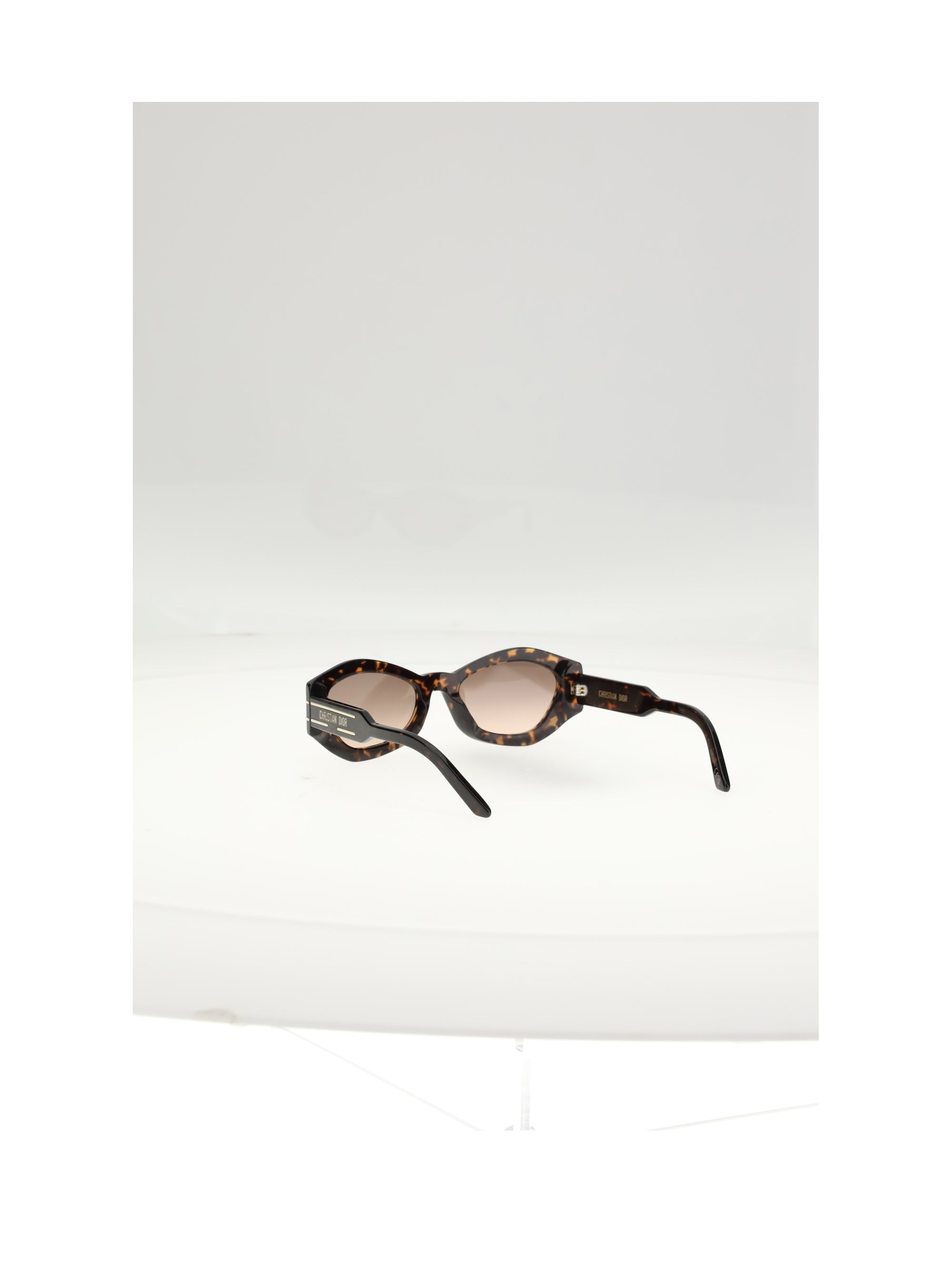 Dior Women Diorsignature B1uxr Sunglasses - 3