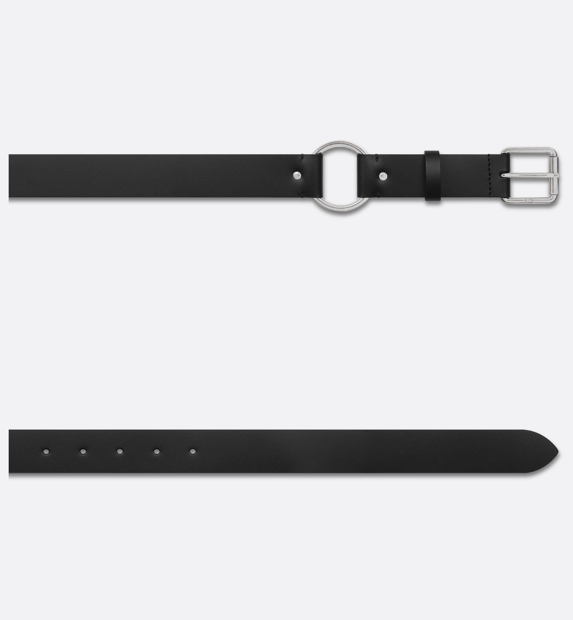 Dior Symbol Belt with Removable Pouch - 4