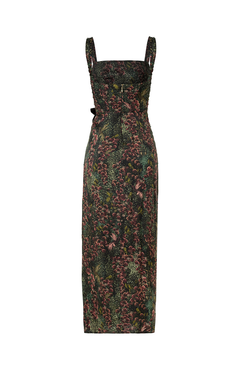 Cinéfila Colibrí Maxi Dress 3