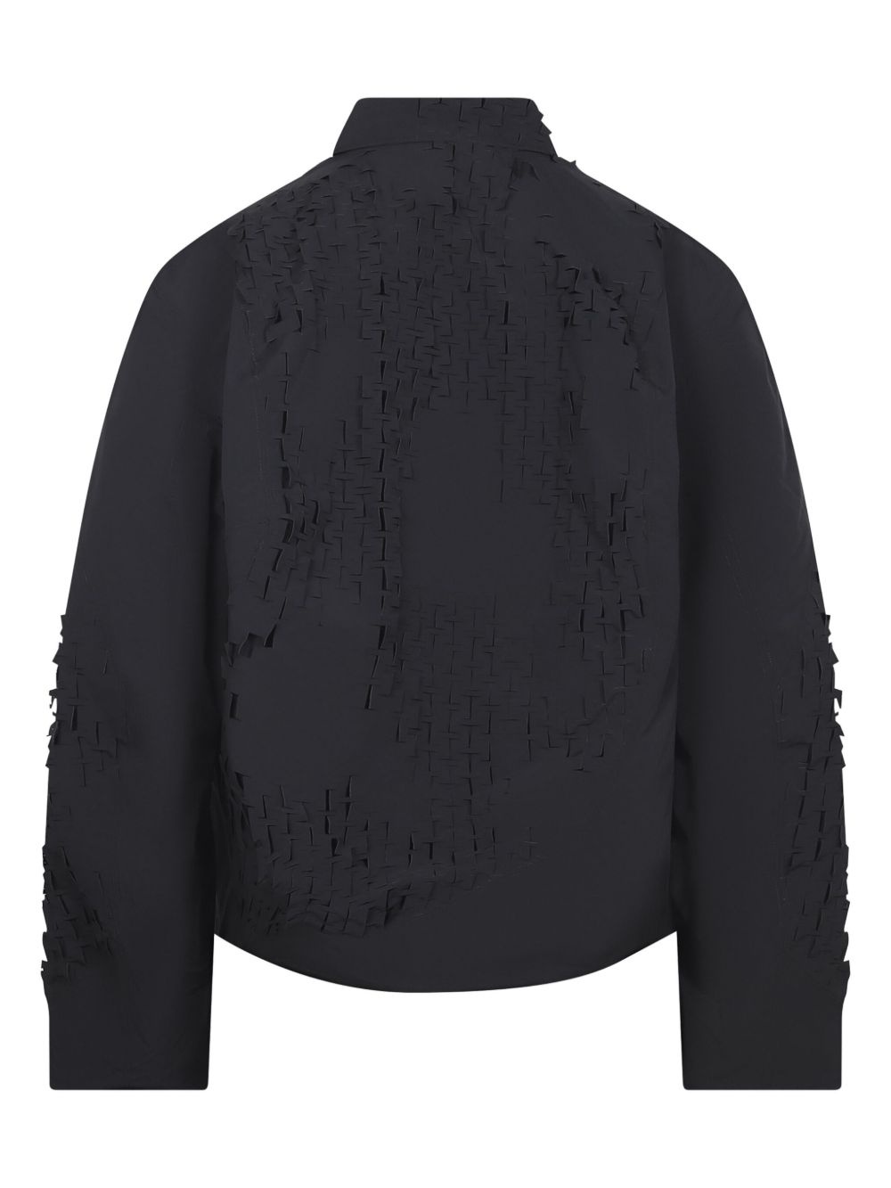 Embryonic jacket - 2