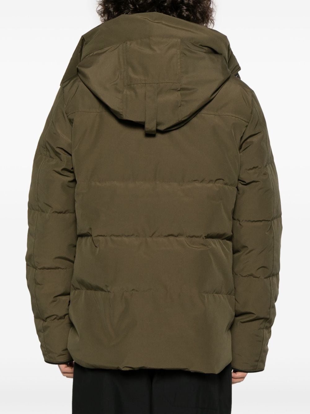 Macmillan padded jacket - 4