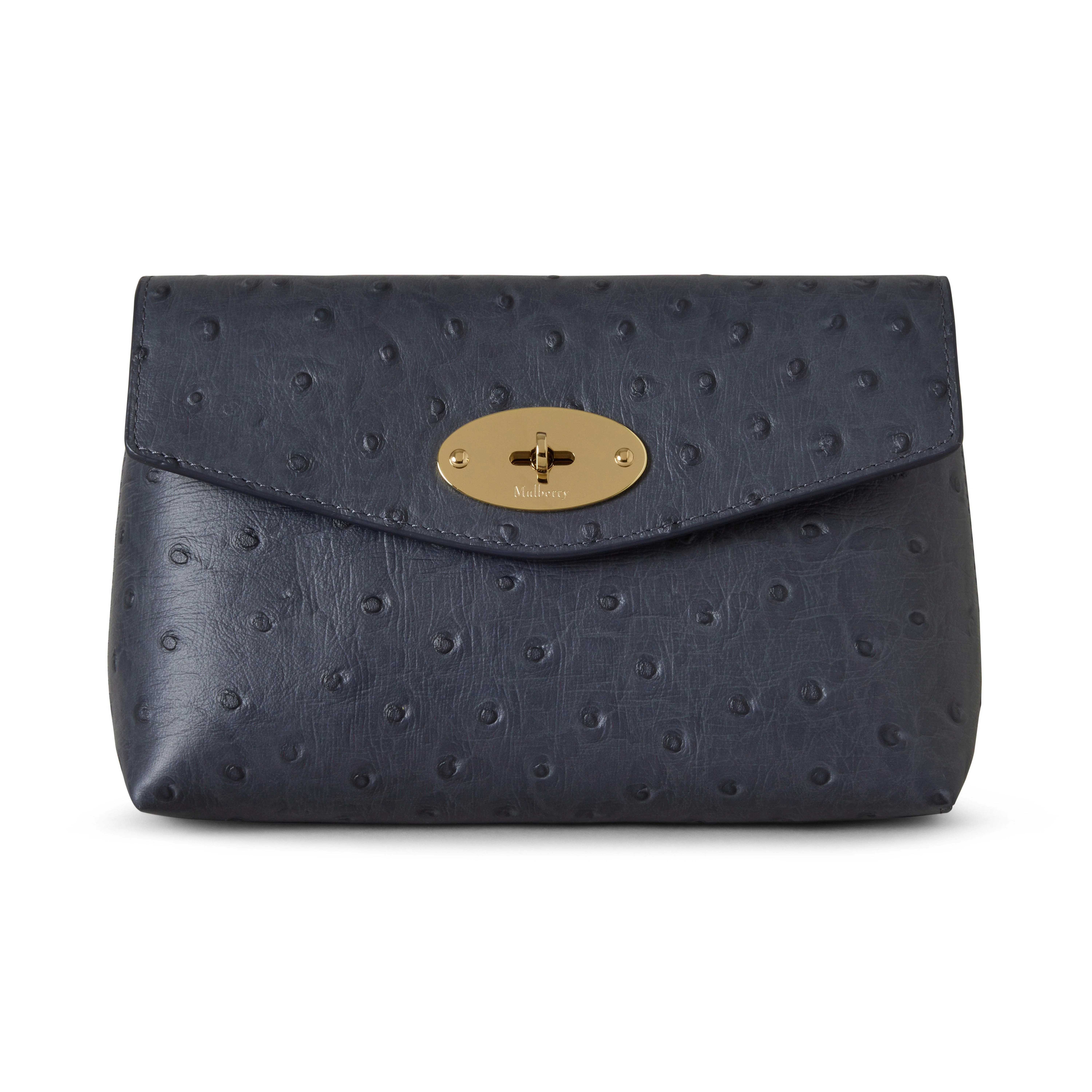 Mulberry Darley Cosmetic Pouch in Stormy Blue at Nordstrom - 1