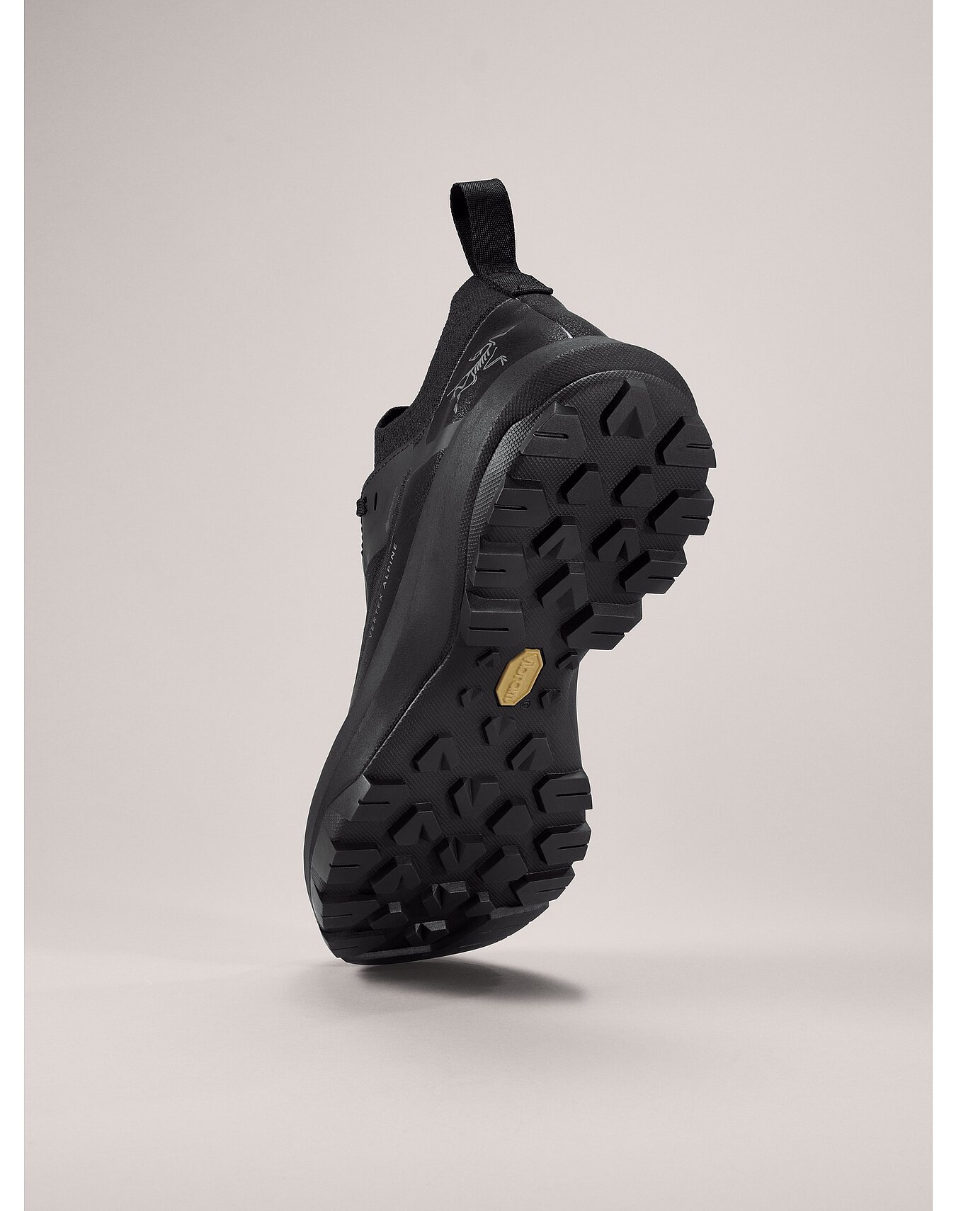 Vertex Alpine GTX Shoe - 4
