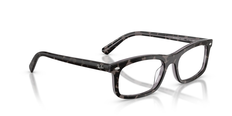 RB5450 OPTICS 7