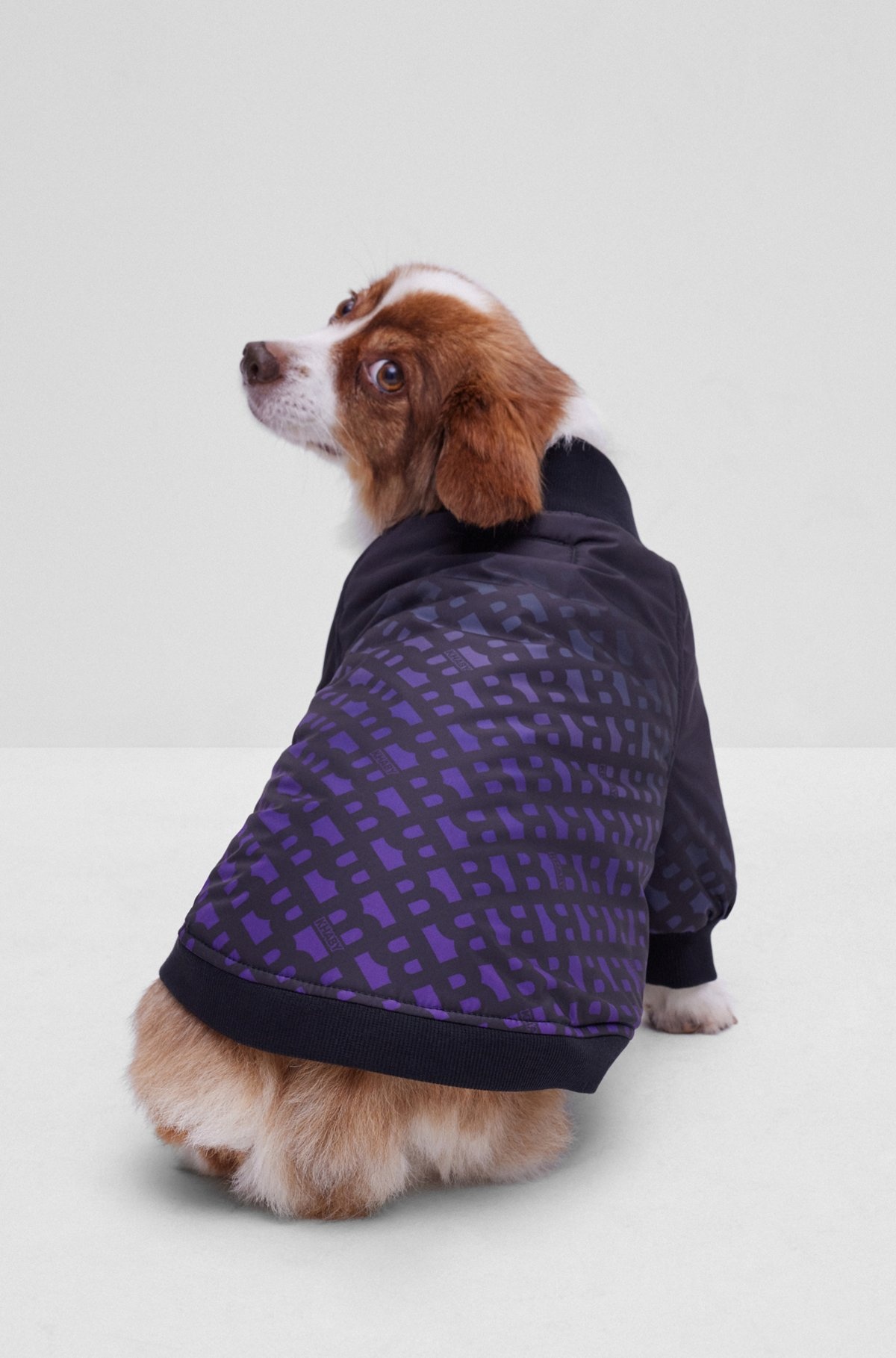 DOG BOMBER JACKET WITH DEGRADÉ MONOGRAMS - 6