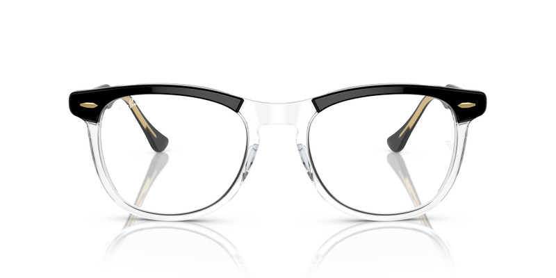 EAGLE EYE TRANSITIONS® 6