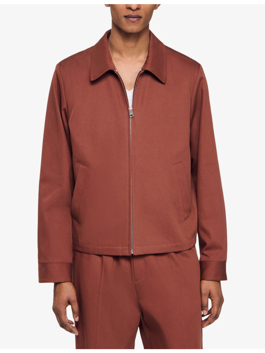 Pointed collar cotton Harrington jacket - 3