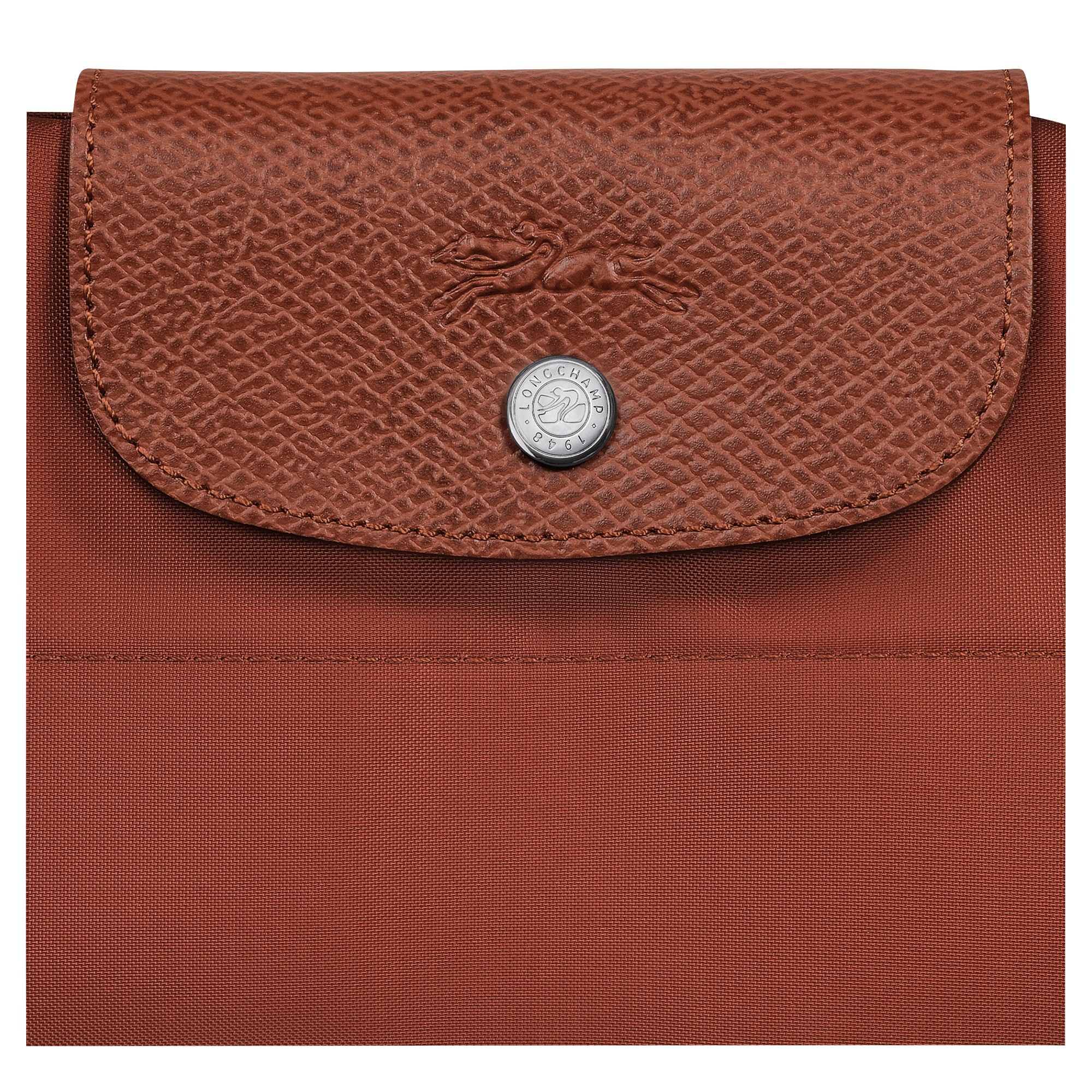 Le Pliage Green M Tote bag Chestnut - Canvas - 6