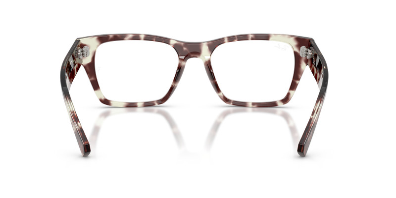 RB5448 OPTICS 7