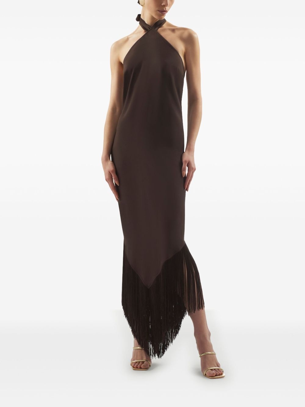 Nina maxi dress - 2