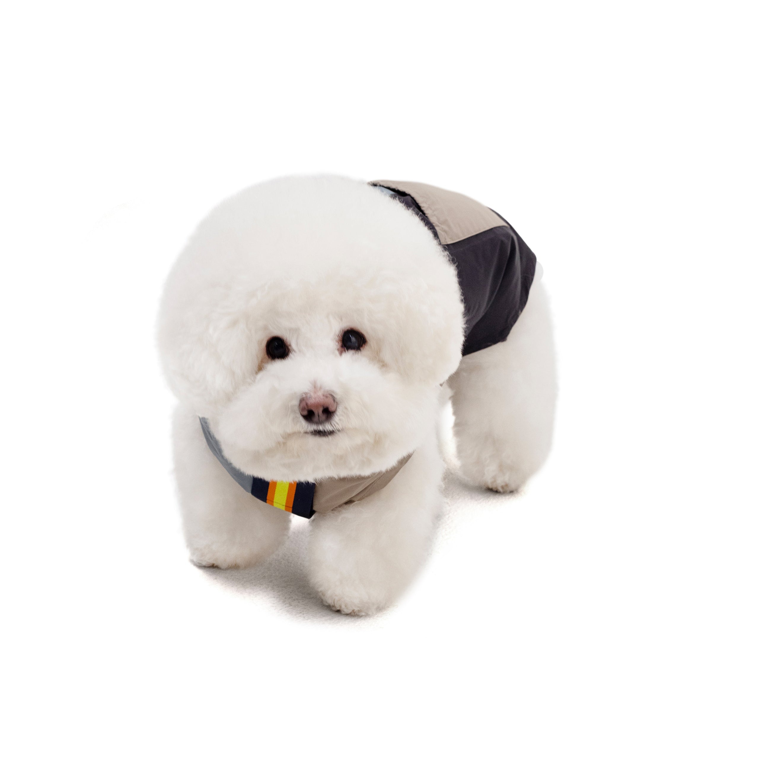 PALACE K-WAY LE VRAI 4.0 HORATIO DOG JACKET MULTI / BLUE / BLACK - 3