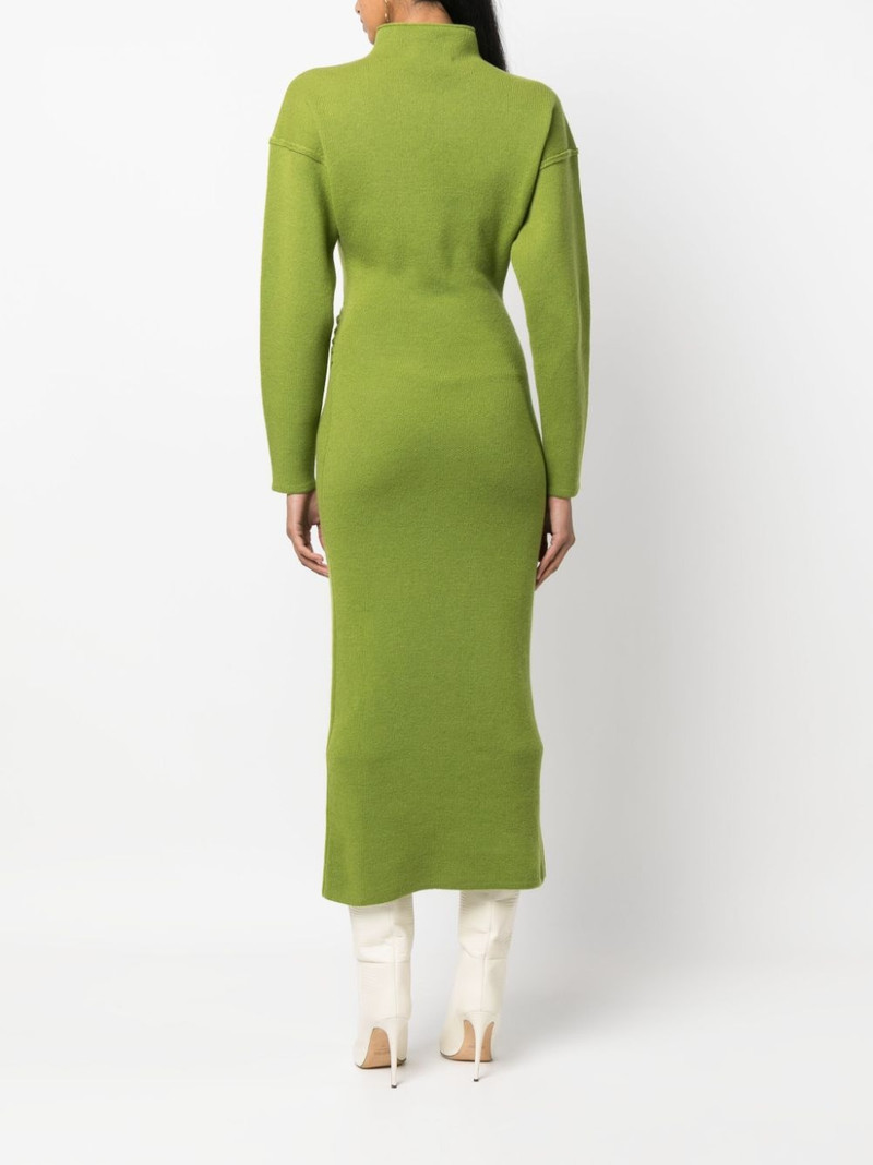 JasÃ© midi dress 4