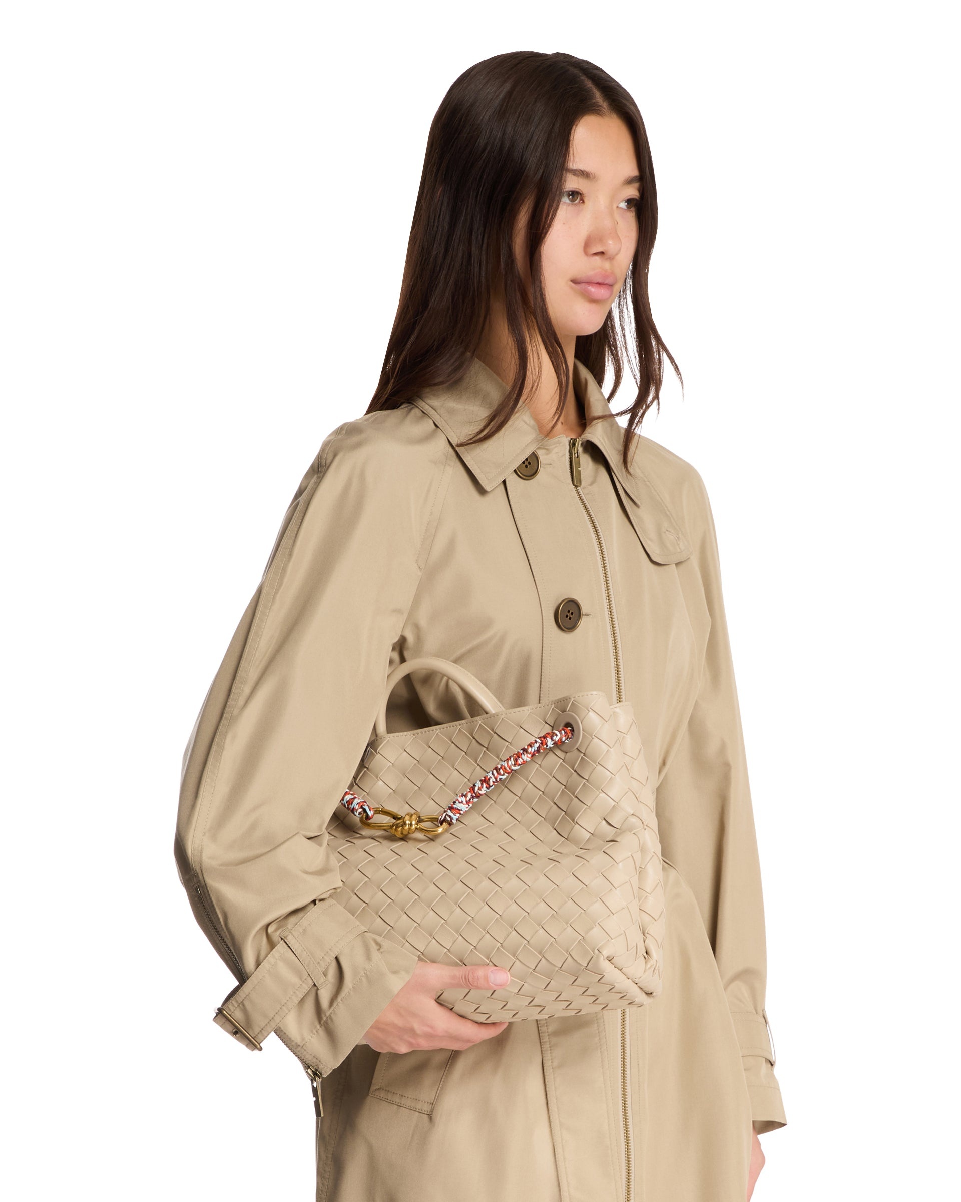 Beige Medium Andiamo Bag - 4