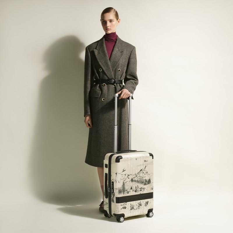 Happy Holidays #MY4810 cabin trolley 6