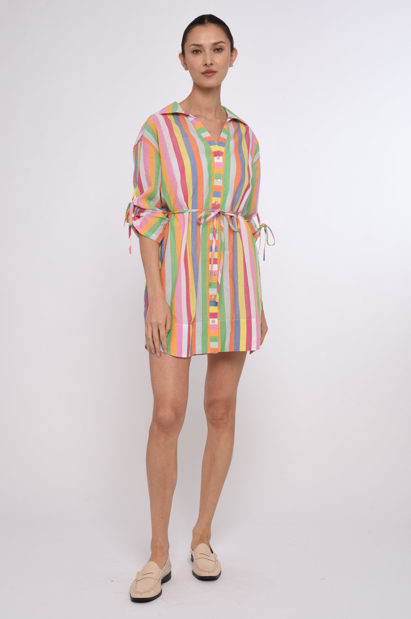 Shannon Mini Dress 1