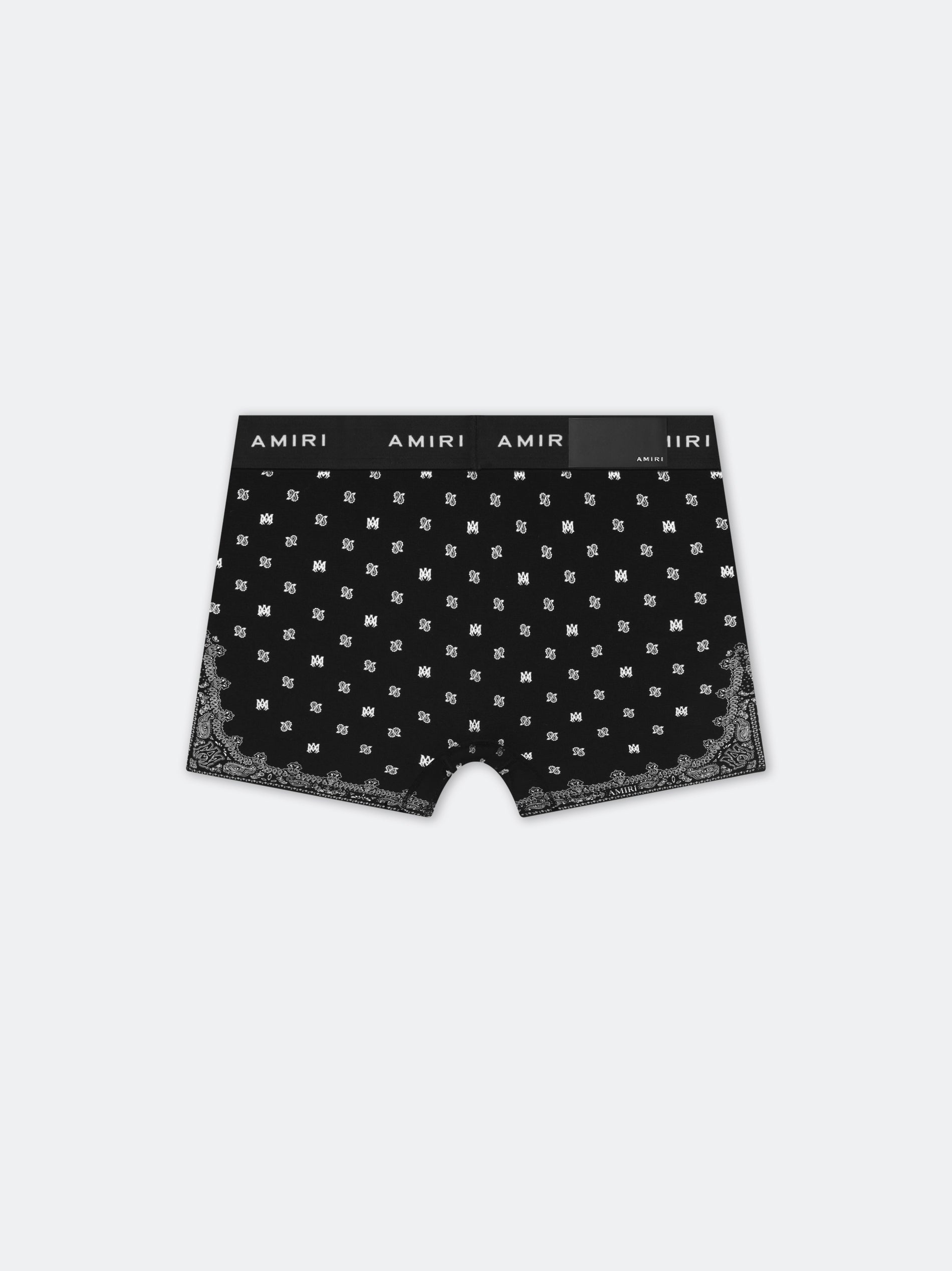 MA PAISLEY BRIEF - 2