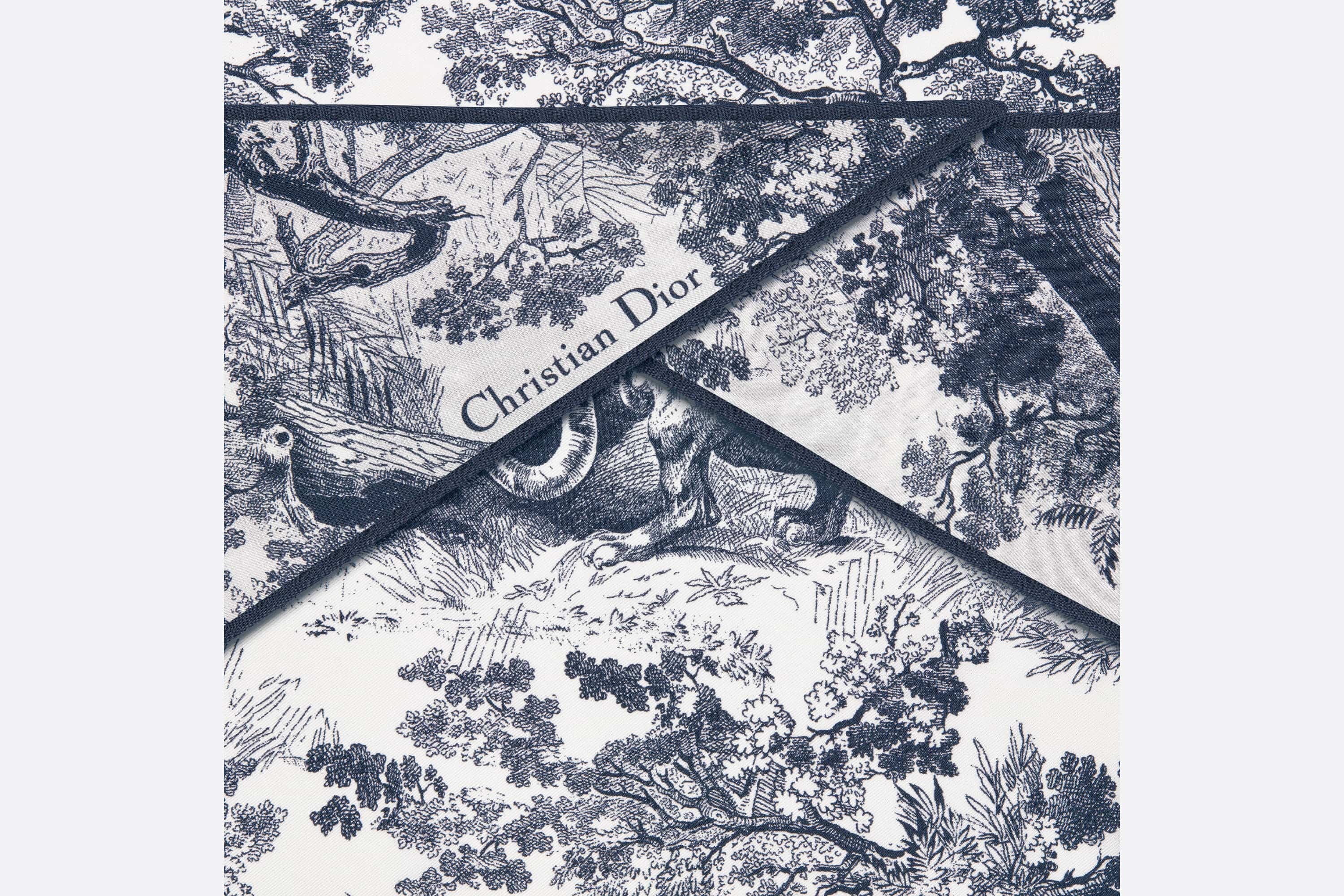 【無料郵送/関税込/正規品】 (W) Dior Toile de Jouy Sauvage Mi Dior Toile de Jouy Sauvage Dior Diamond | REVERSIBLE