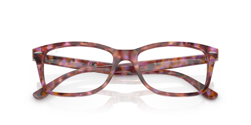 Ray-Ban RB5428 광학 outlook