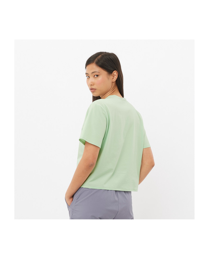 SALOMON TRACKLINE outlook