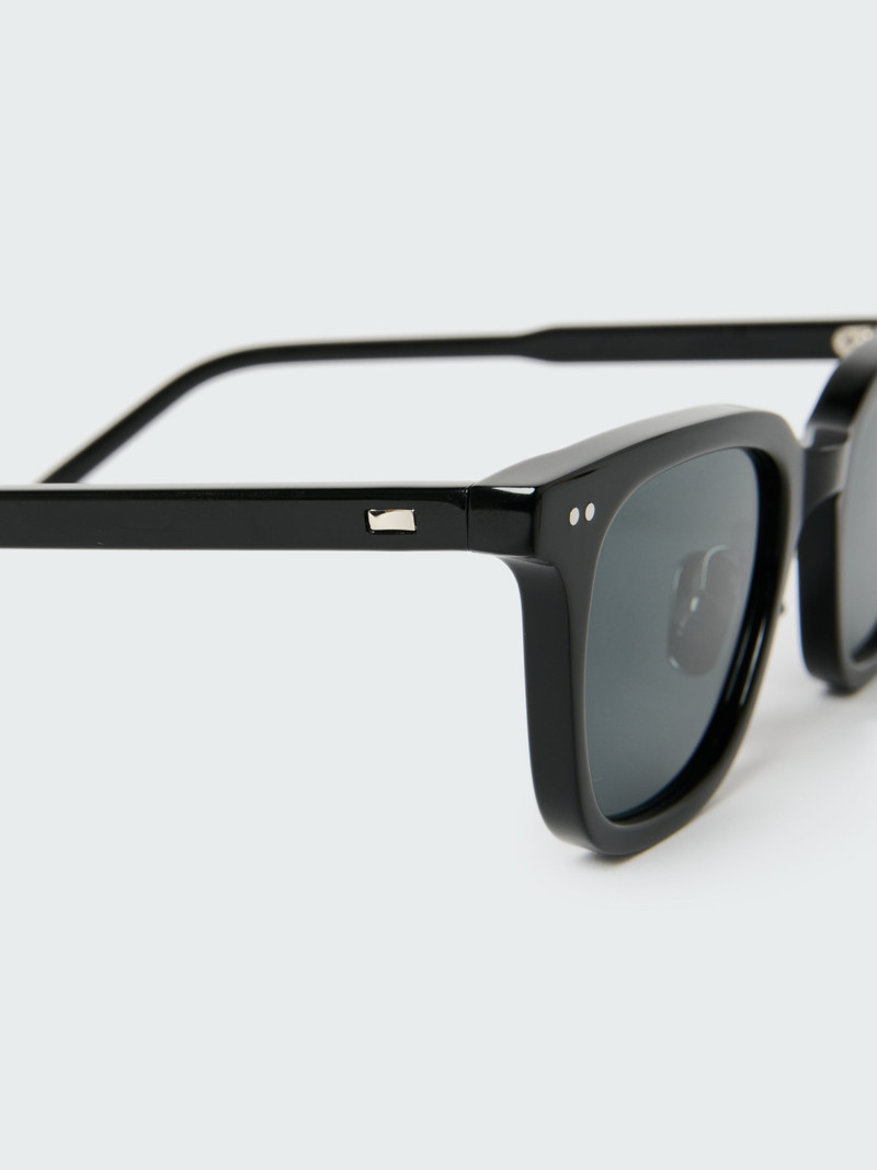 Type 1 Sunglasses 4