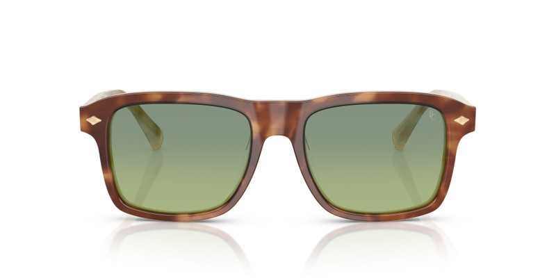 Brunello Cucinelli BC4014S outlook