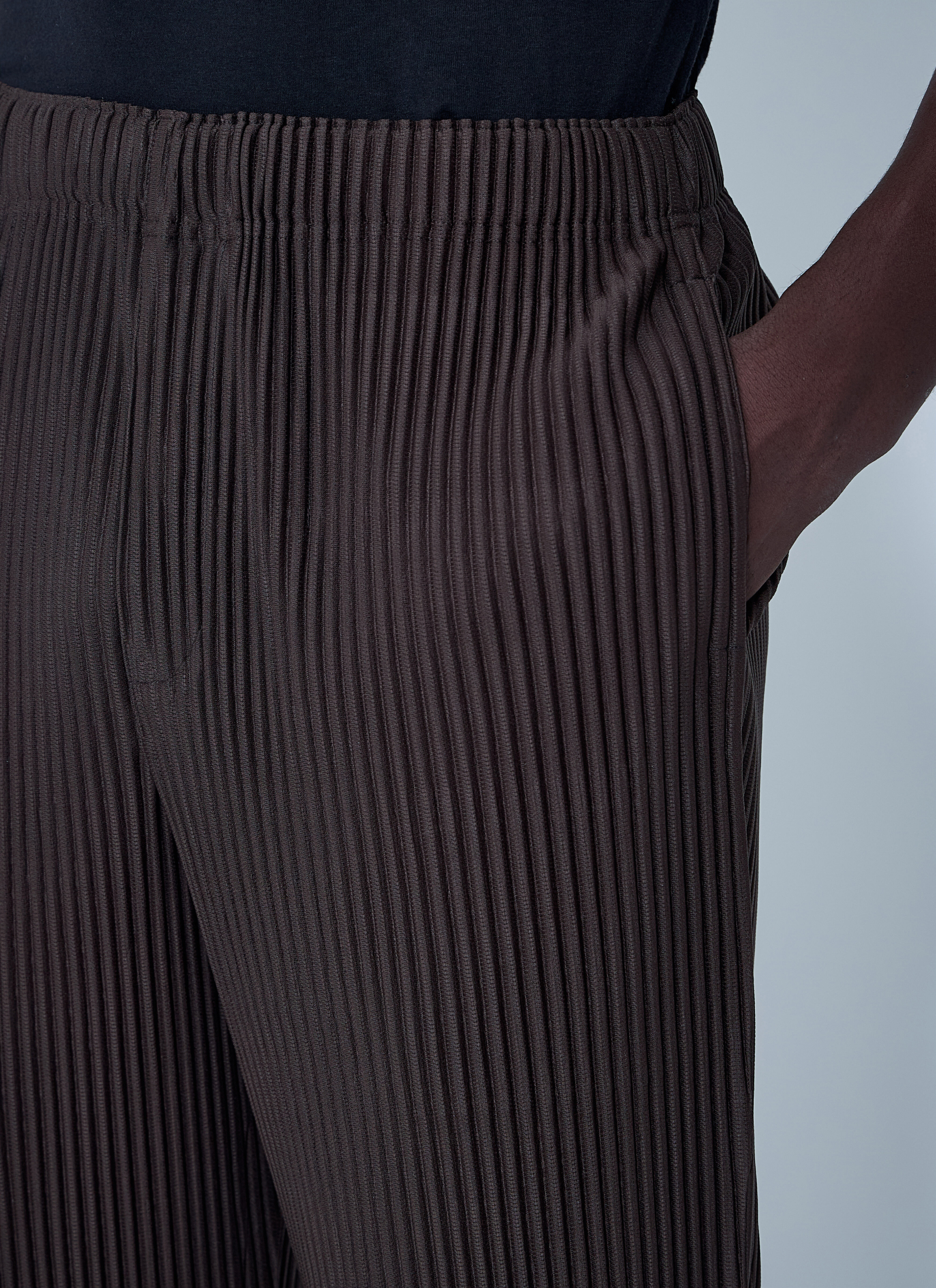 Pleated Pants - 5