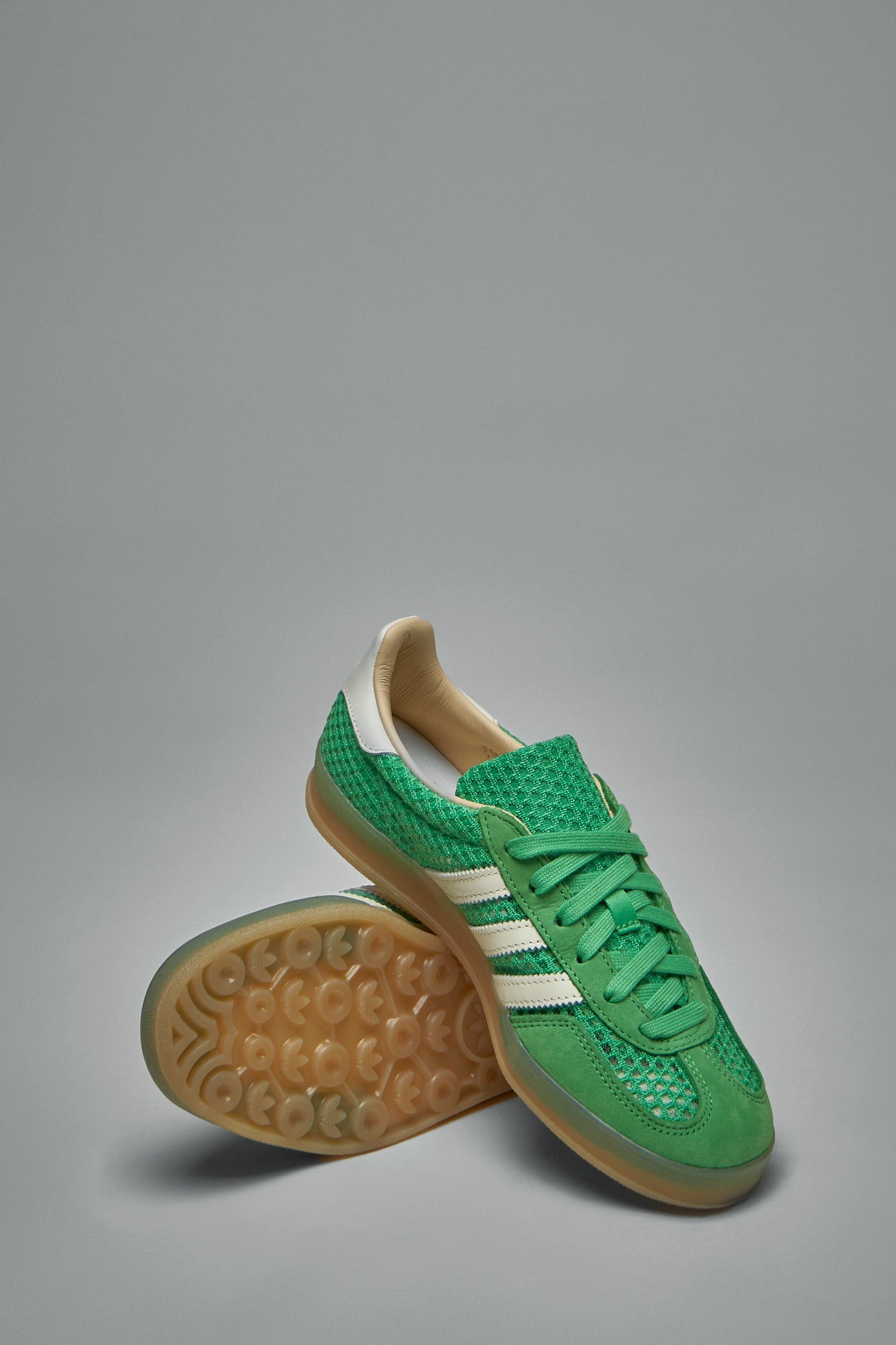 Gazelle Indoor - 5
