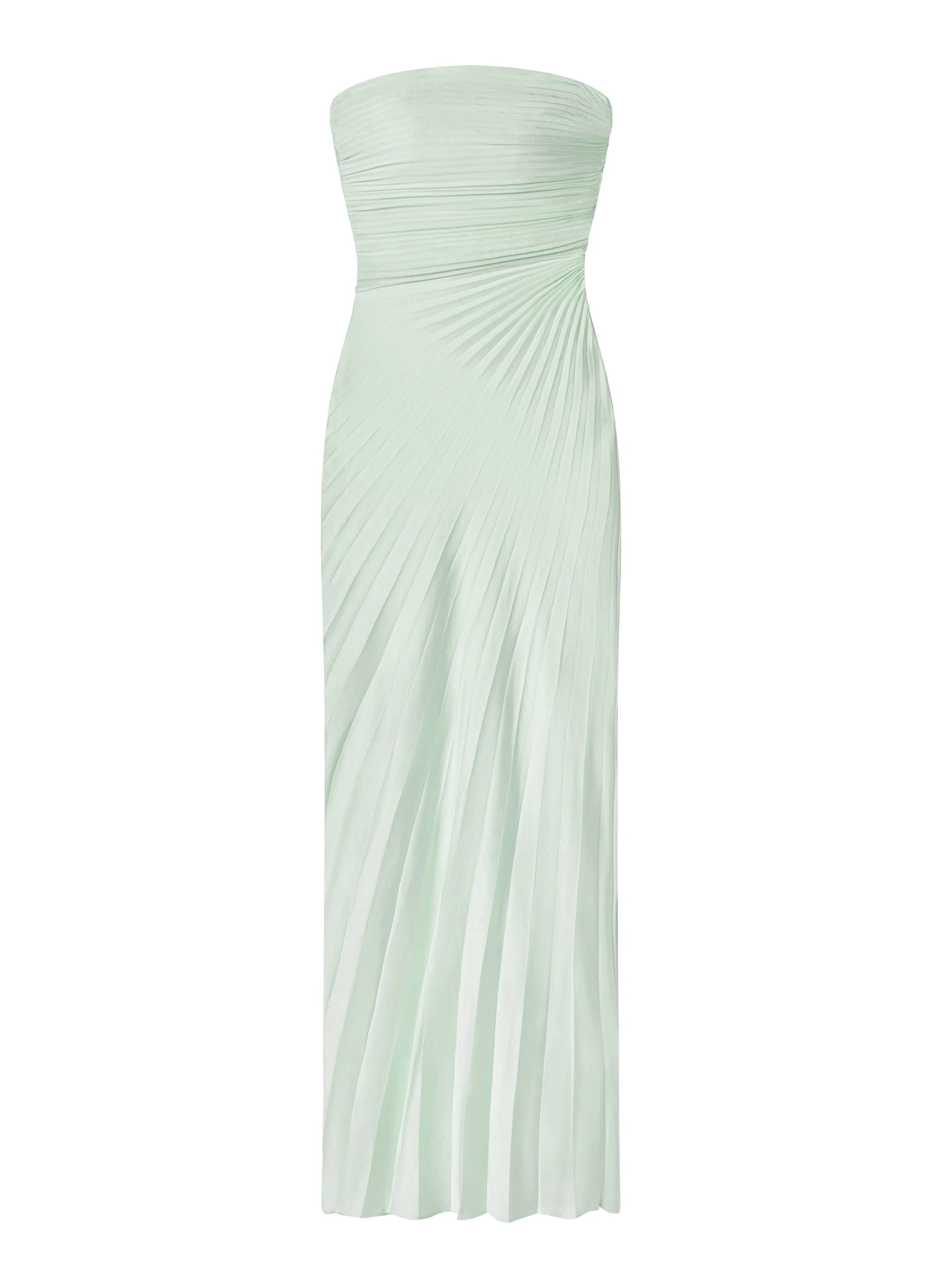 Bianca Strapless Pleated Maxi Dress - 1