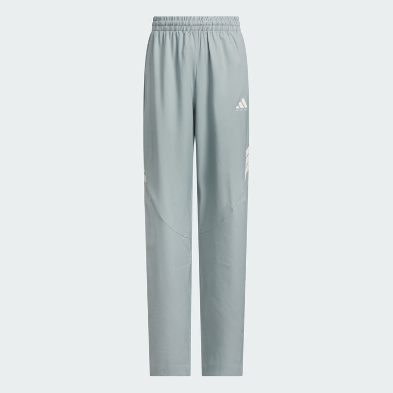 ADIDAS CRAZY LITE PANTS 1