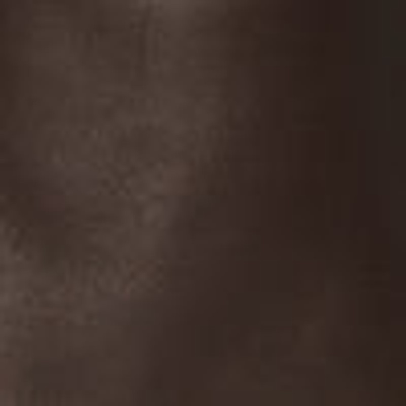 Large N/S Park Tote Bag in Leather 4