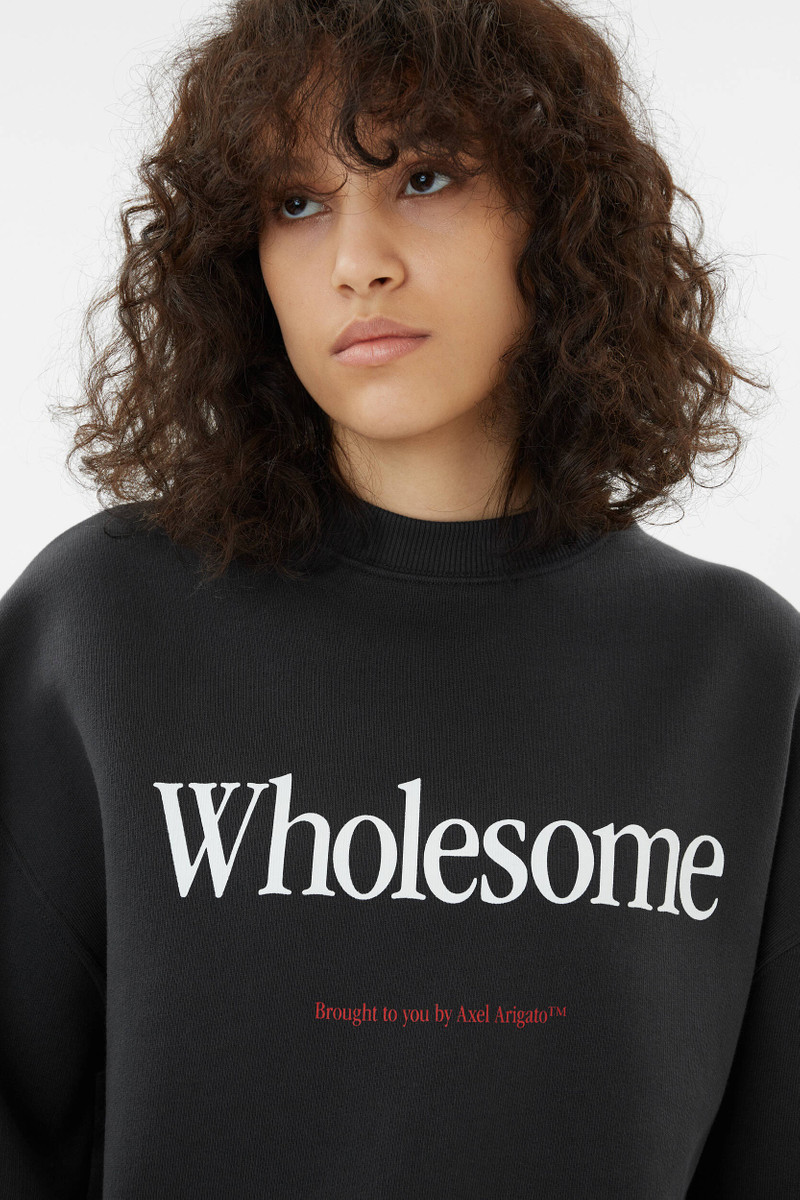 Axel Arigato Wholesome Sweatshirt outlook