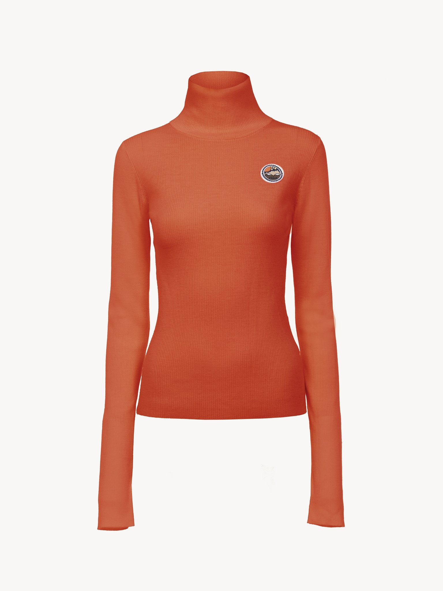 FITTED TURTLENECK TOP - 2